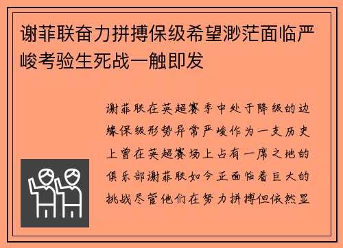 谢菲联奋力拼搏保级希望渺茫面临严峻考验生死战一触即发