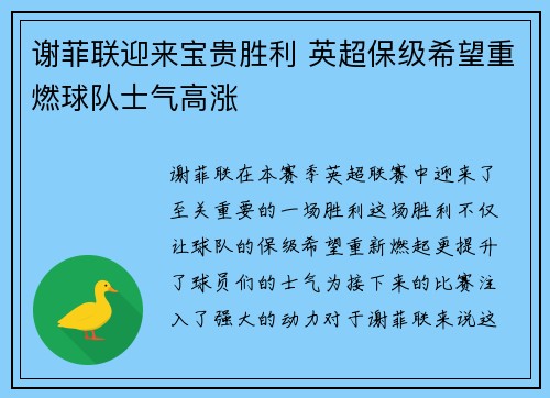 谢菲联迎来宝贵胜利 英超保级希望重燃球队士气高涨